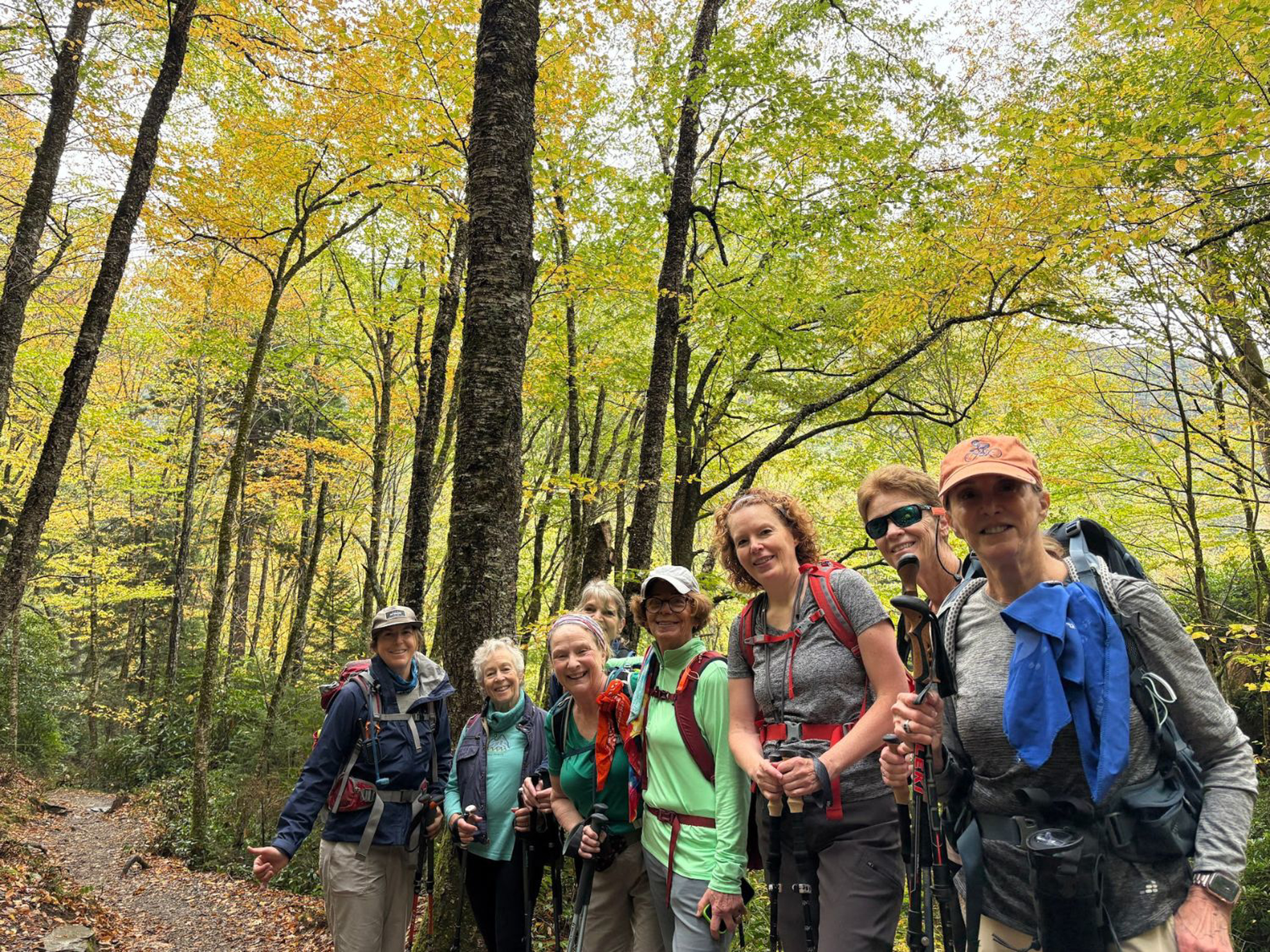 Picture of Fall in the Great Smokies