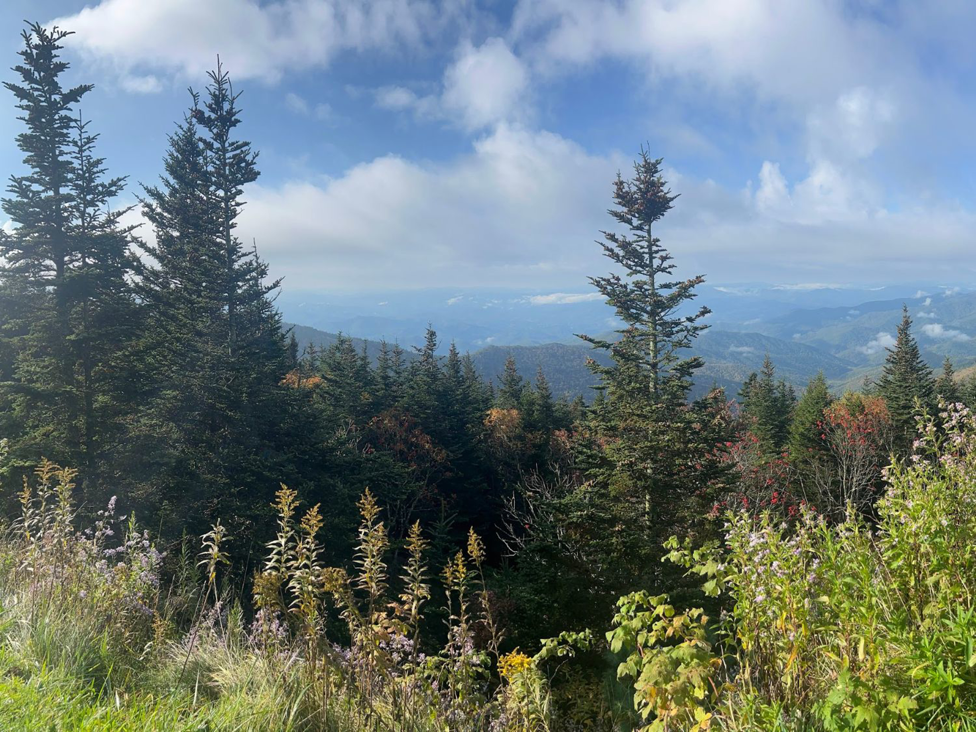 Picture of Fall in the Great Smokies