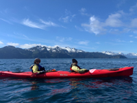 Picture of Alaska: The Kenai Peninsula