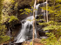 Picture of Waterfalls, Wildflowers, and Wineries