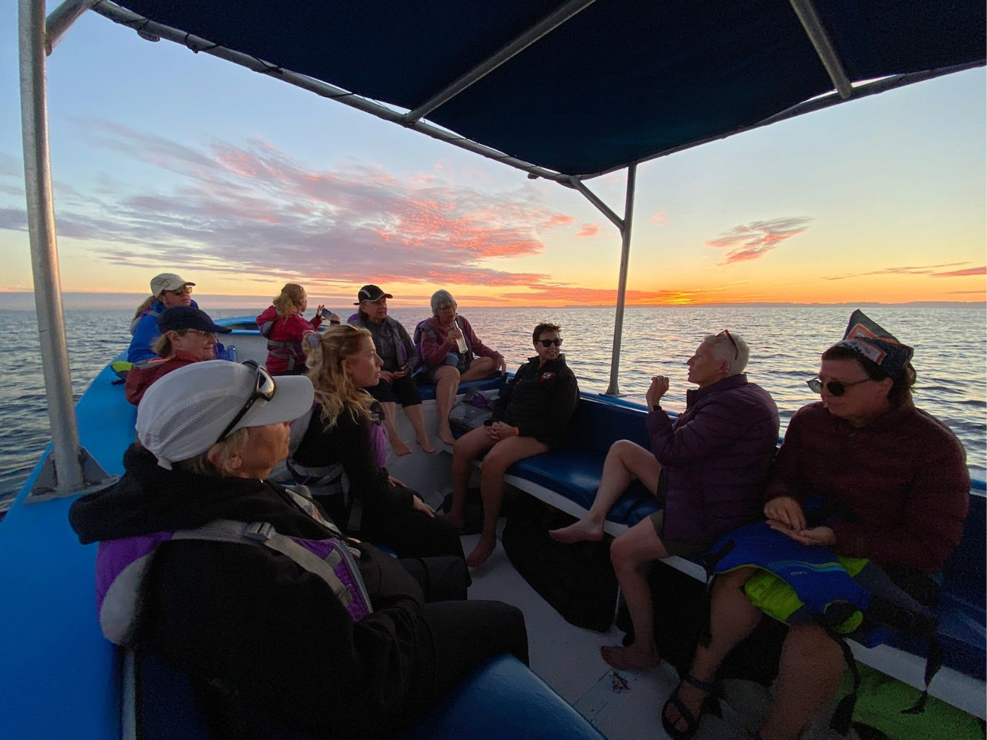 Picture of Baja & Beyond - Camping and Kayaking on the Sea of Cortez