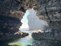 Picture of Baja Unplugged: An Island Escape on the Sea of Cortez