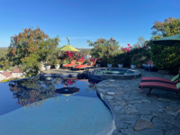 Picture of Baja Unplugged: An Island Escape on the Sea of Cortez