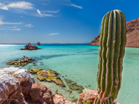 Picture of Baja & Beyond - Camping and Kayaking on the Sea of Cortez