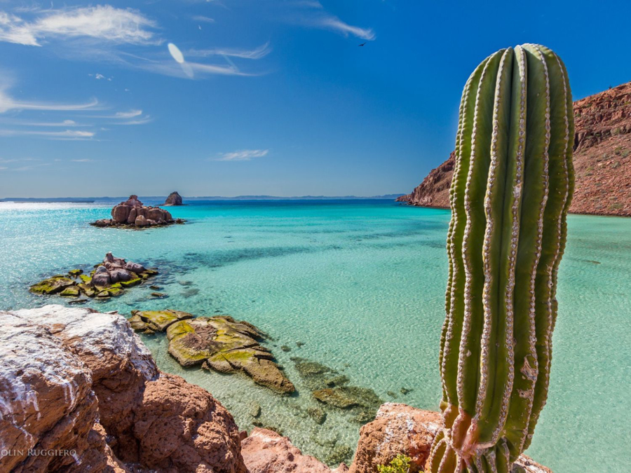 Baja & Beyond - Camping and Kayaking on the Sea of Cortez