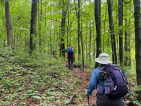 Picture of Slackpacking® the Appalachian Trail: Massachusetts