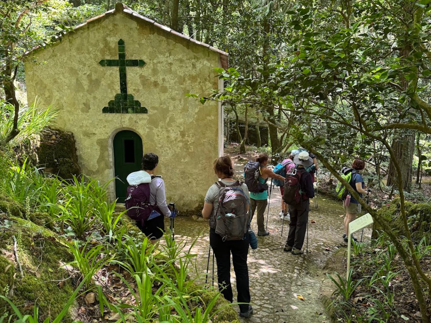 Picture of Portugal: Hiking, Kayaking, & Culture