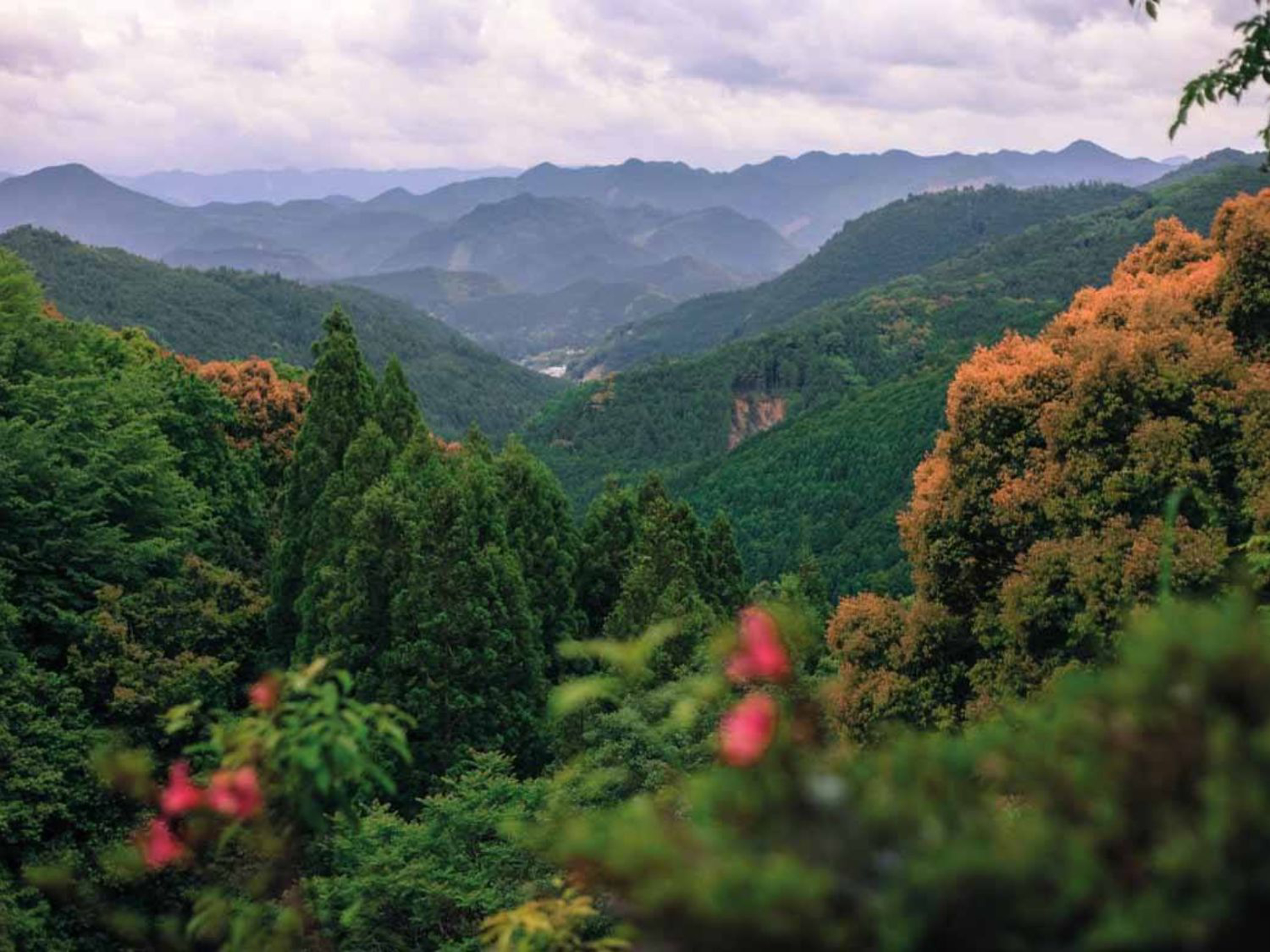 Picture of Japan's Culture and Countryside