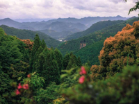 Picture of Japan's Culture and Countryside