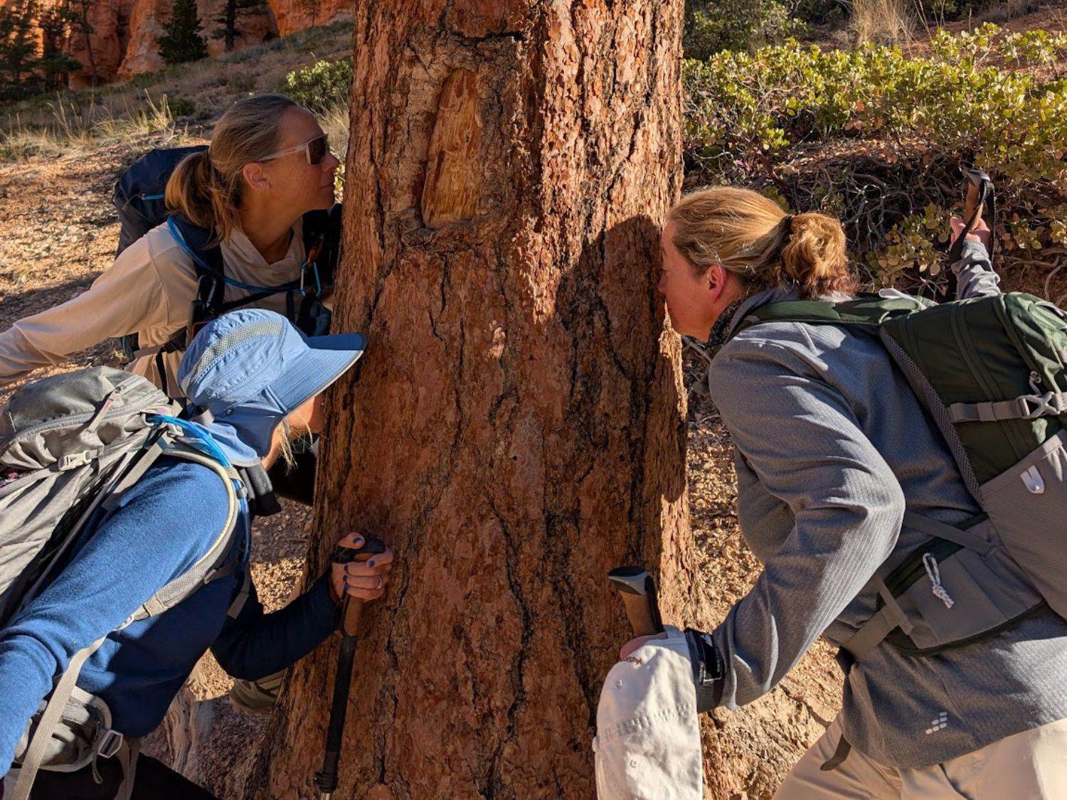 Picture of Hiking the Grand Staircase