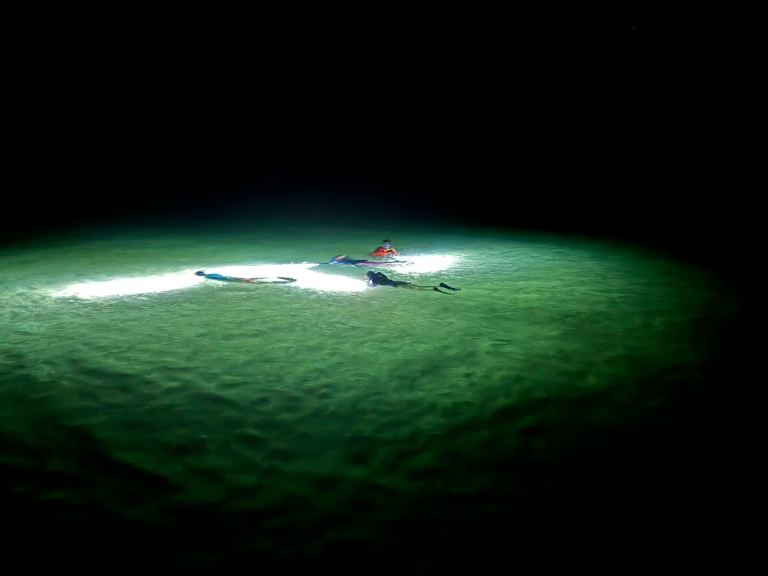 Picture of Best of Belize: Snorkeling, Kayaking & Culture