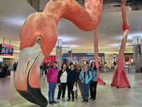 Picture of Paddling with Manatees