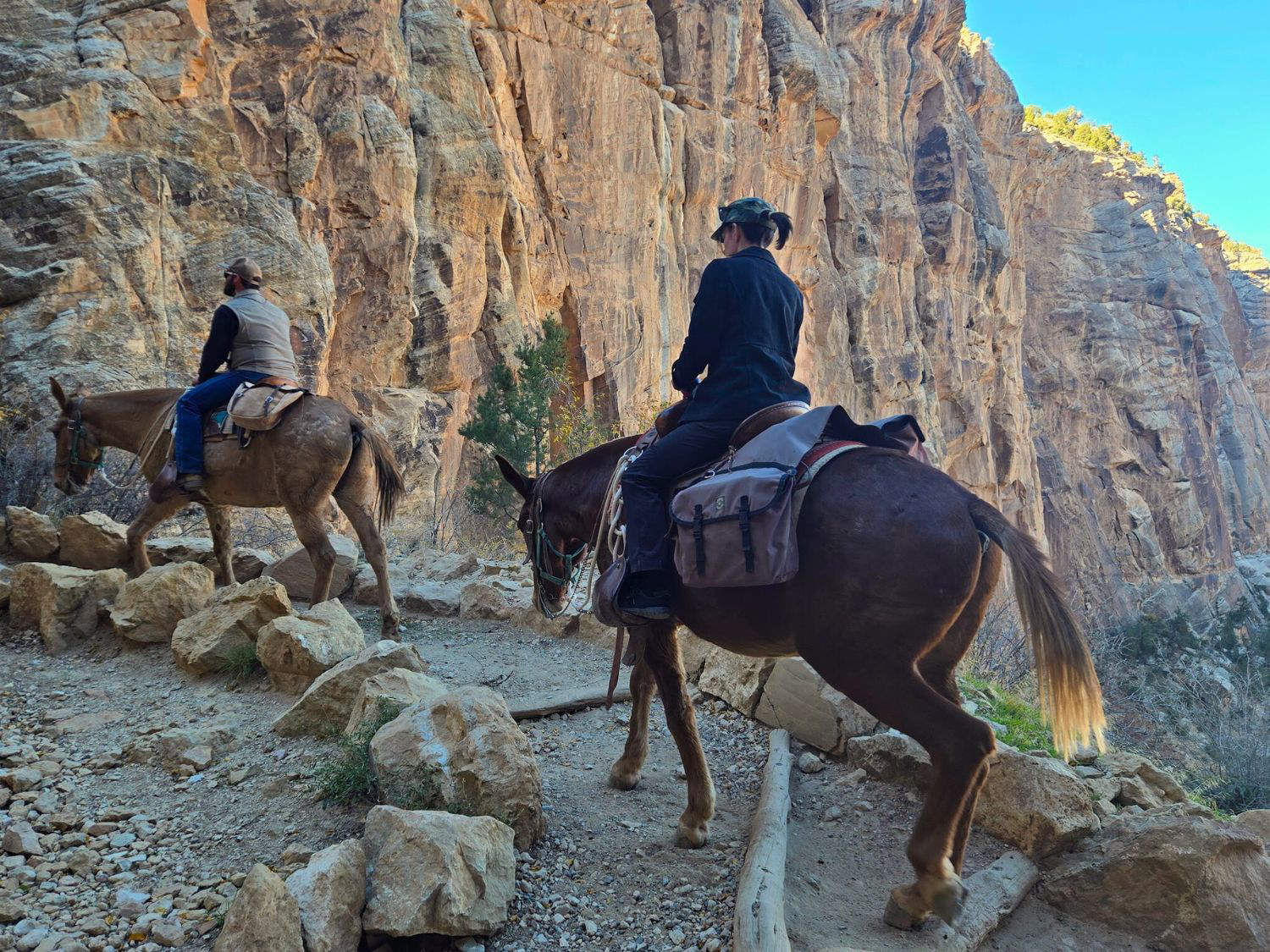 Picture of Sedona and the Grand Canyon