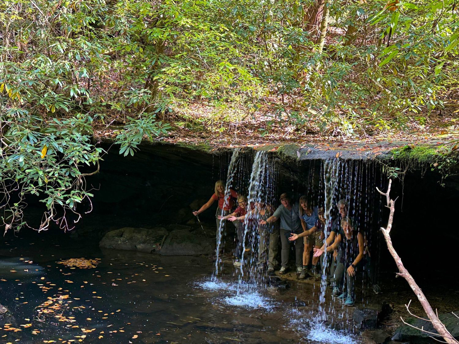 Picture of Exploring the Big South Fork