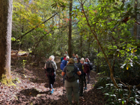 Picture of Exploring the Big South Fork