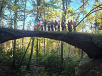 Picture of Exploring the Big South Fork