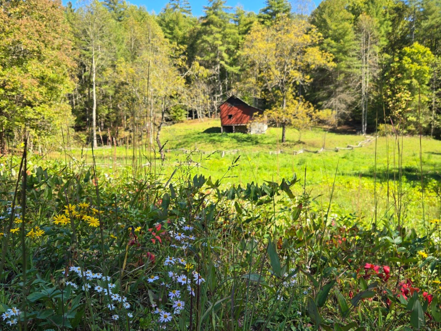 Picture of Exploring the Big South Fork