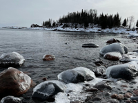 Picture of Dog Sledding and Winter Fun