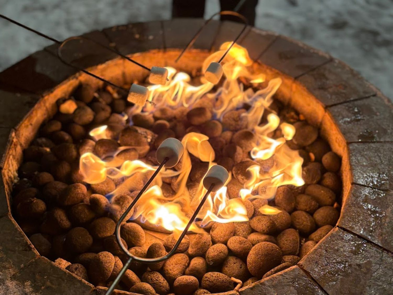 Picture of Dog Sledding and Winter Fun