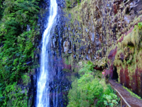 Picture of Portugal: Walking, Hiking & Wellness on Madeira Island