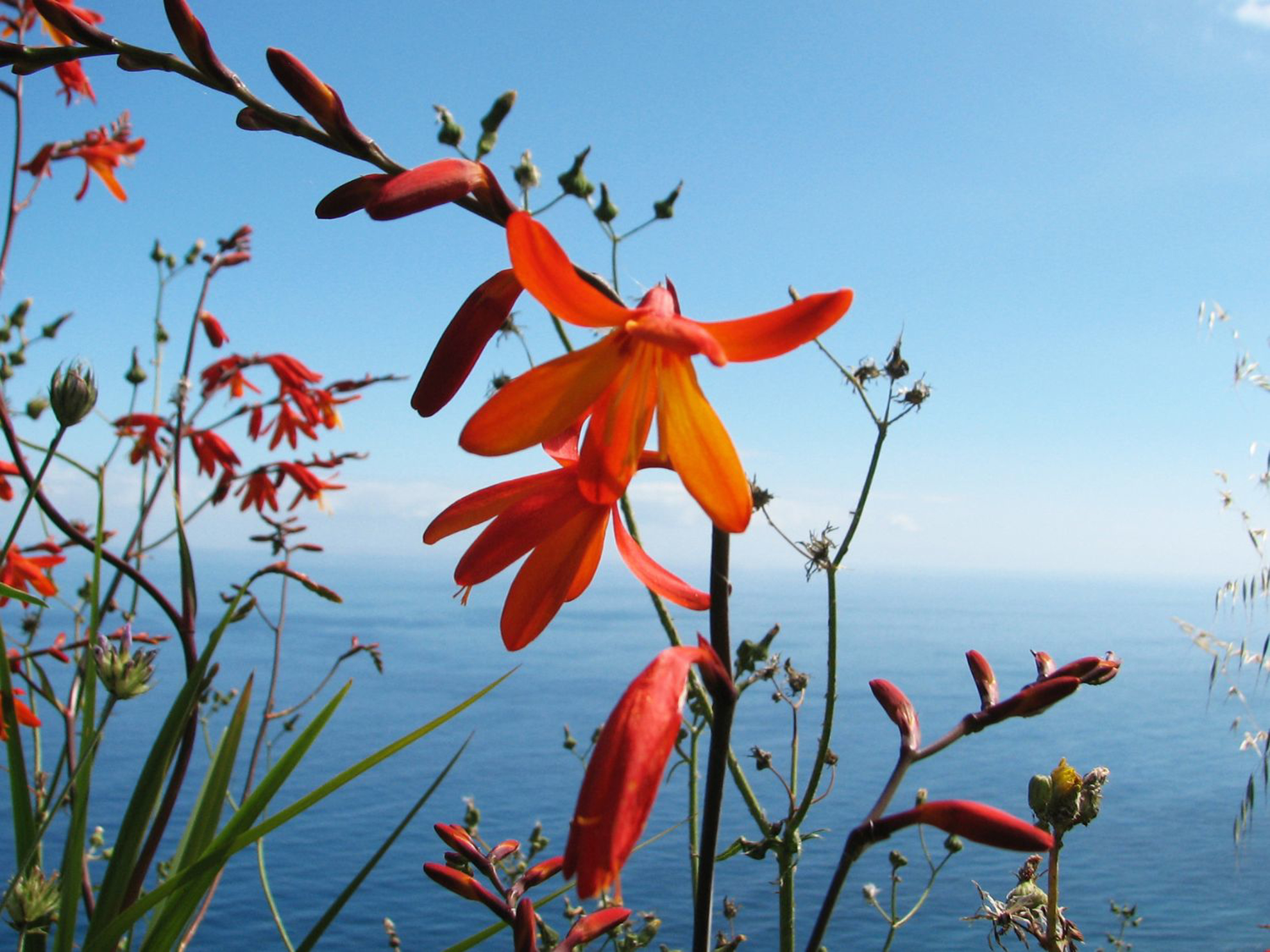 Picture of Portugal: Walking, Hiking & Wellness on Madeira Island
