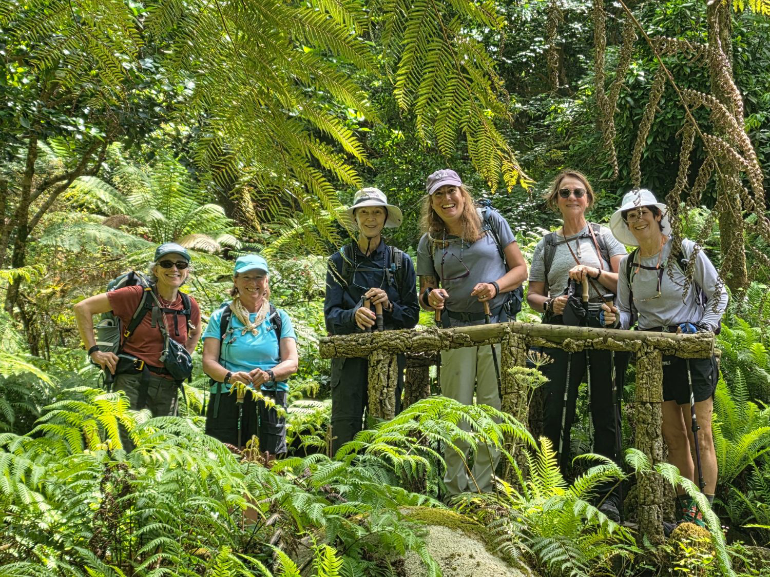 Picture of Portugal: Walking, Hiking & Wellness on Madeira Island