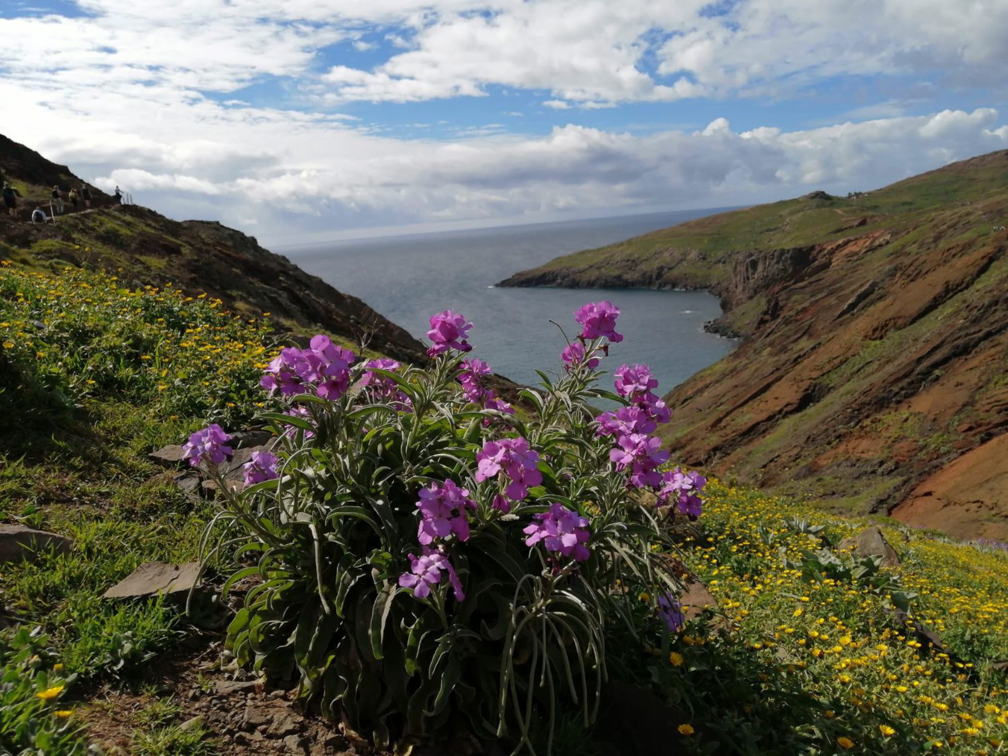 Picture of Portugal: Walking, Hiking & Wellness on Madeira Island