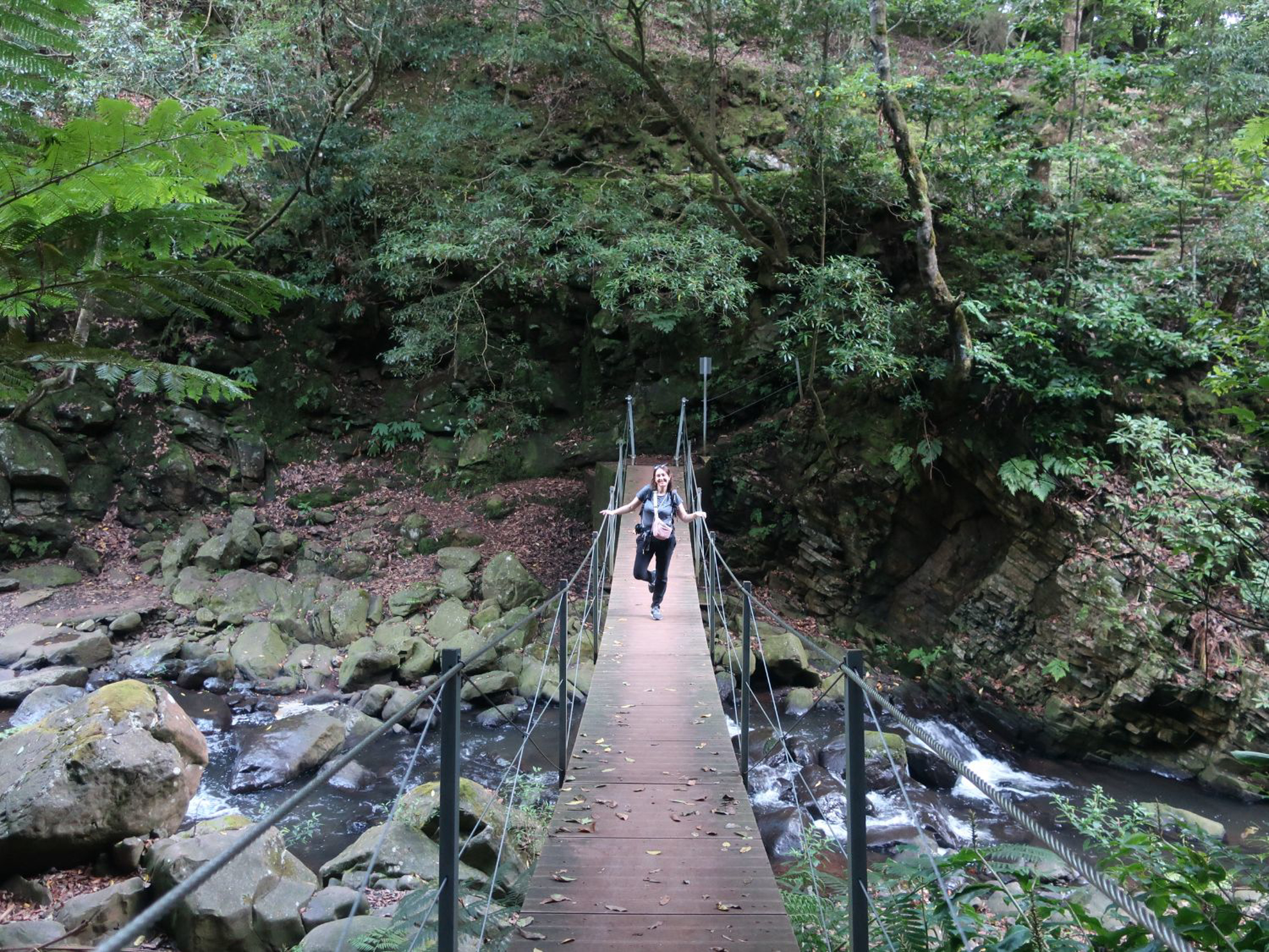 Picture of Portugal: Walking, Hiking & Wellness on Madeira Island