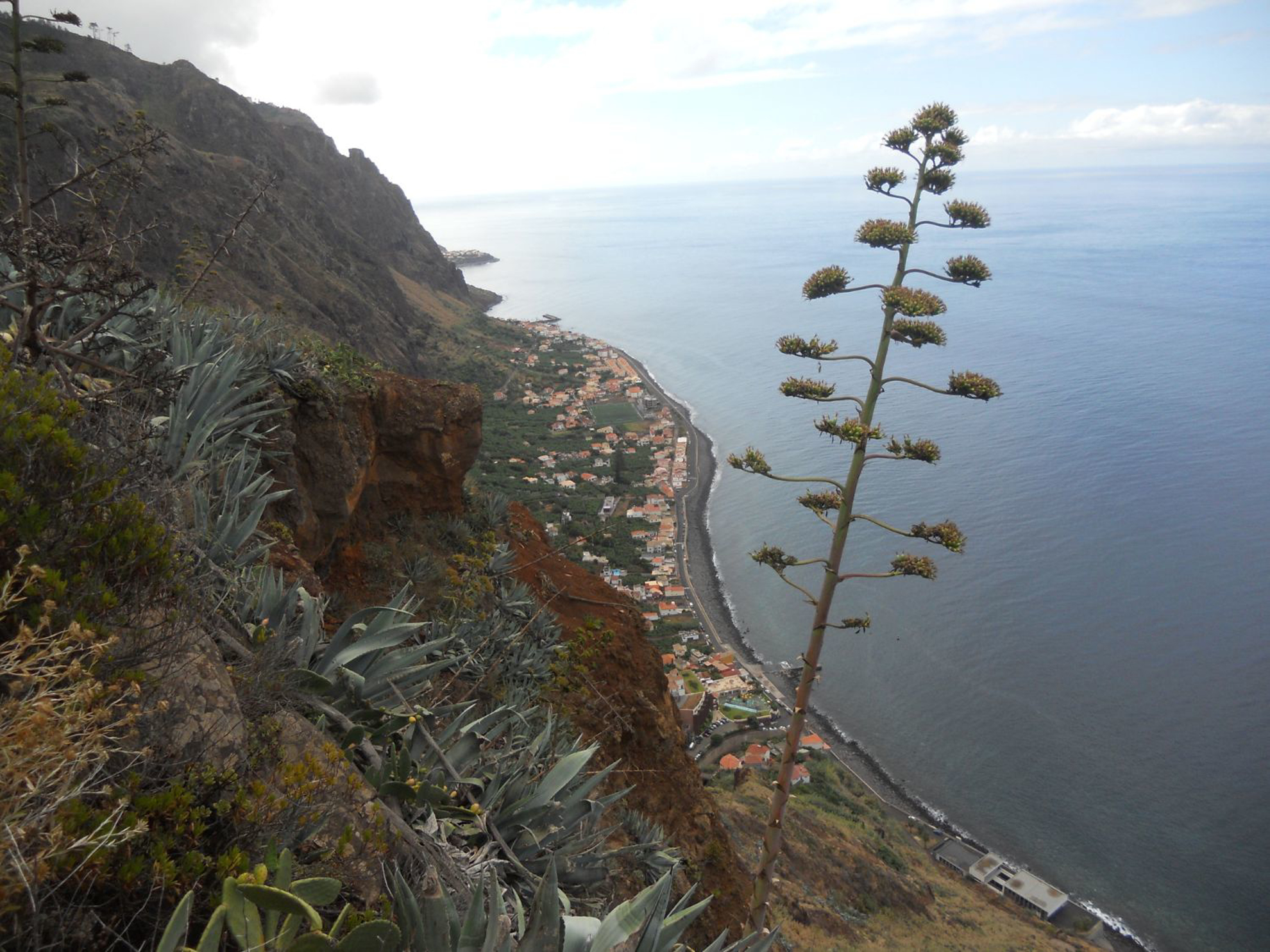 Picture of Portugal: Walking, Hiking & Wellness on Madeira Island