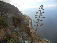 Picture of Portugal: Walking, Hiking & Wellness on Madeira Island