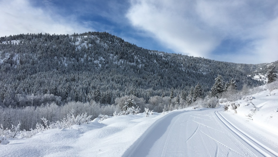Winter Trails: North Cascades' Methow Valley