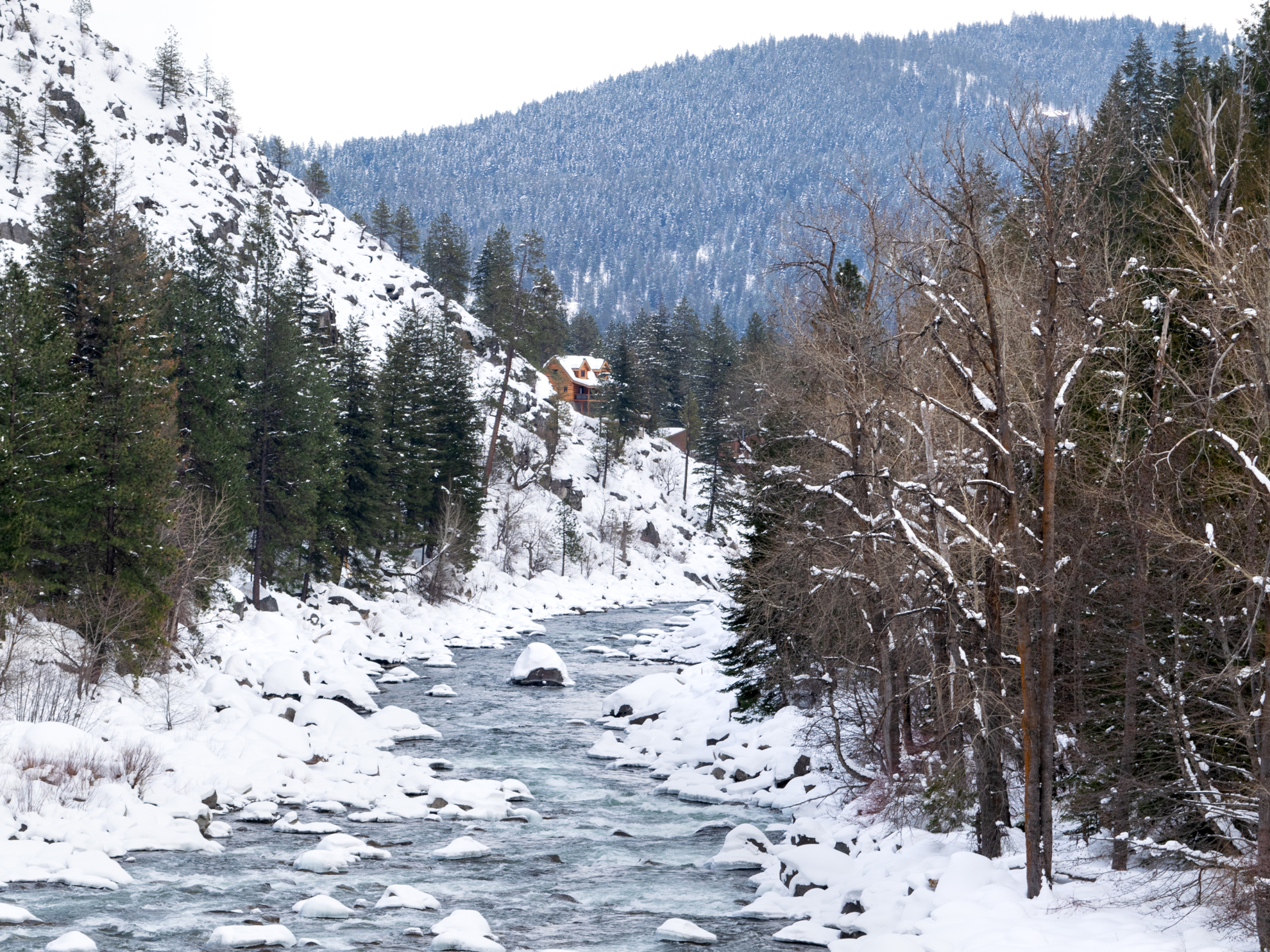 Picture of Winter Trails: North Cascades' Methow Valley