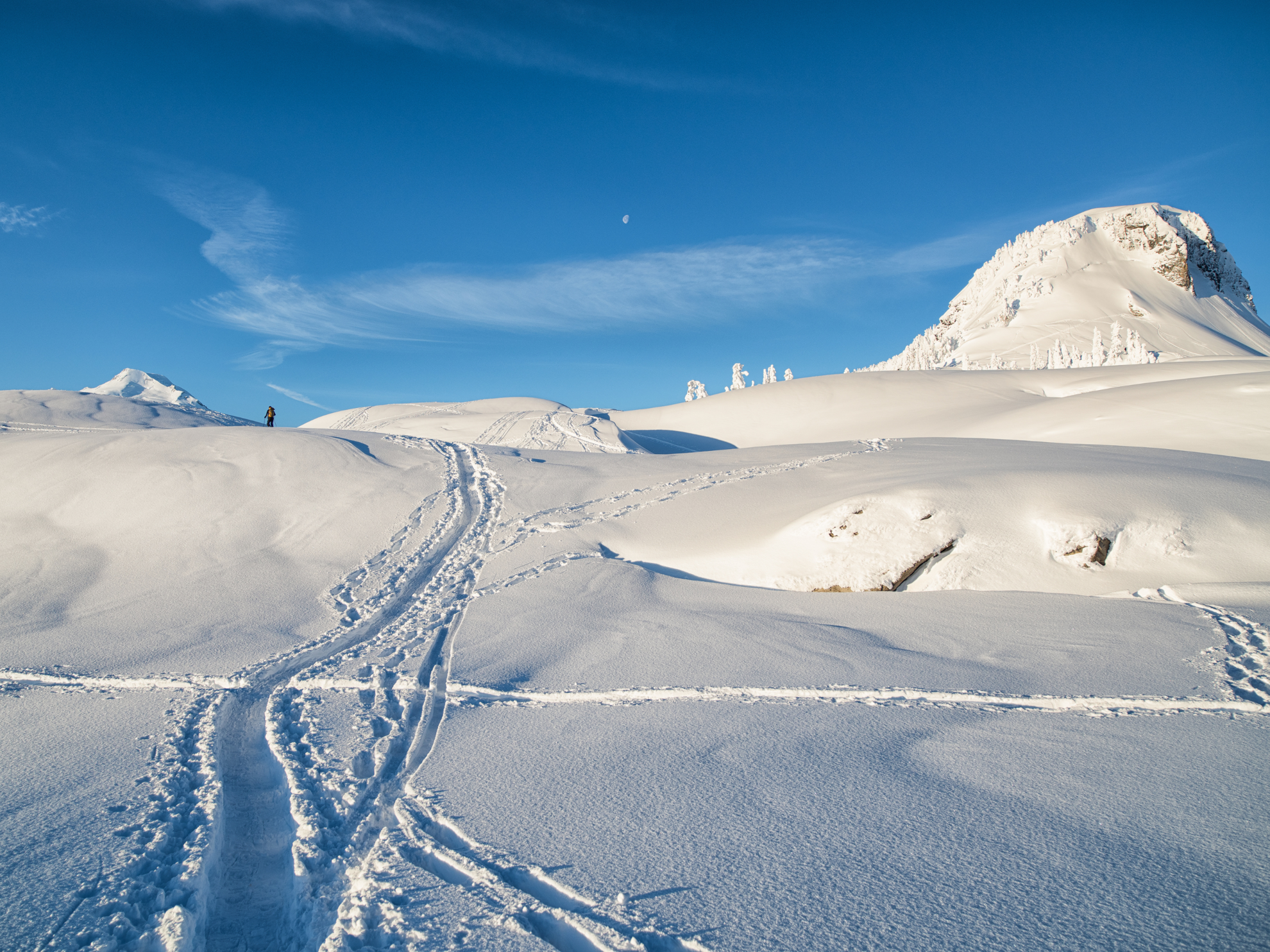 Picture of Winter Trails: North Cascades' Methow Valley