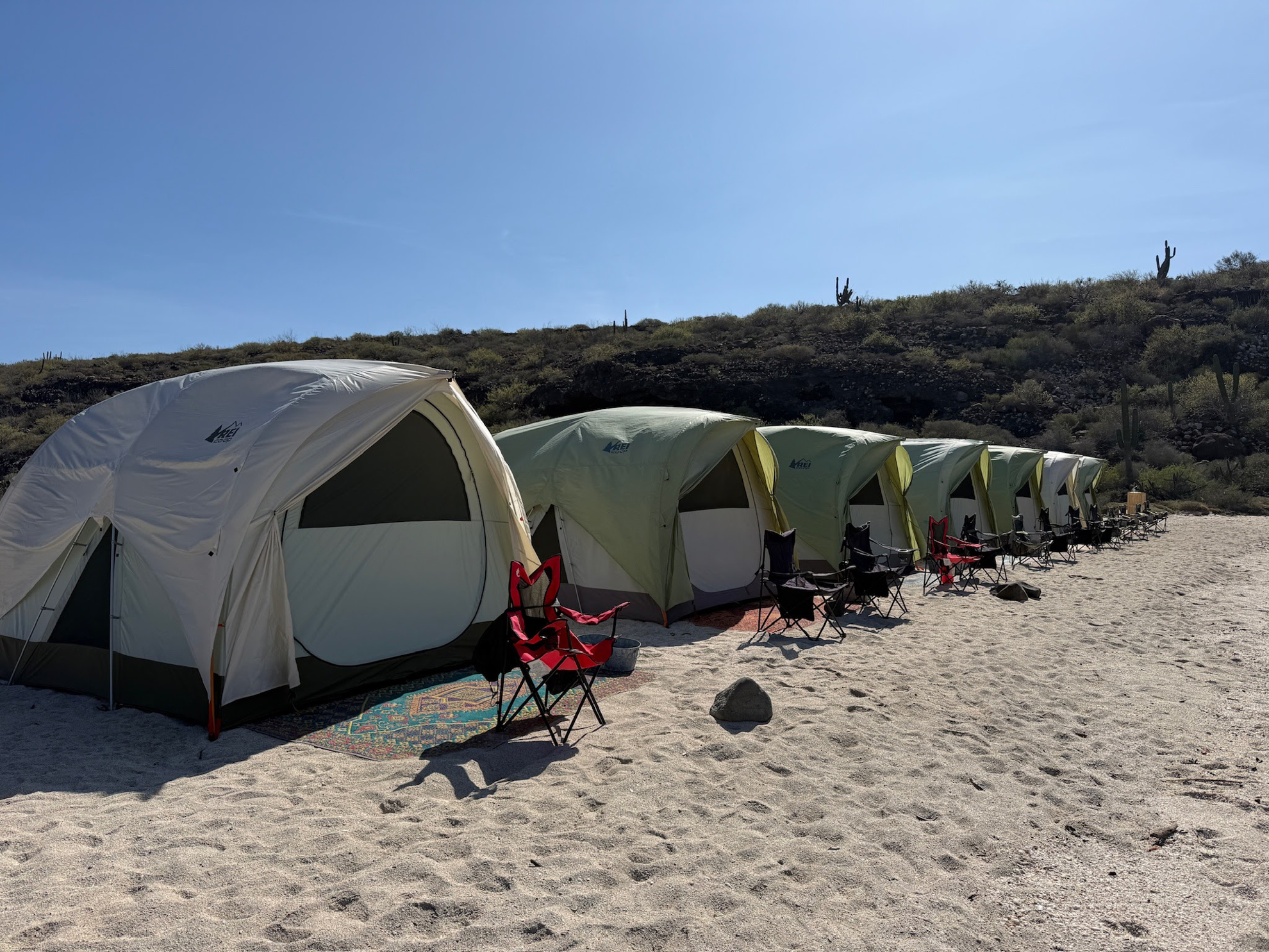 Picture of Baja & Beyond - Camping and Kayaking on the Sea of Cortez
