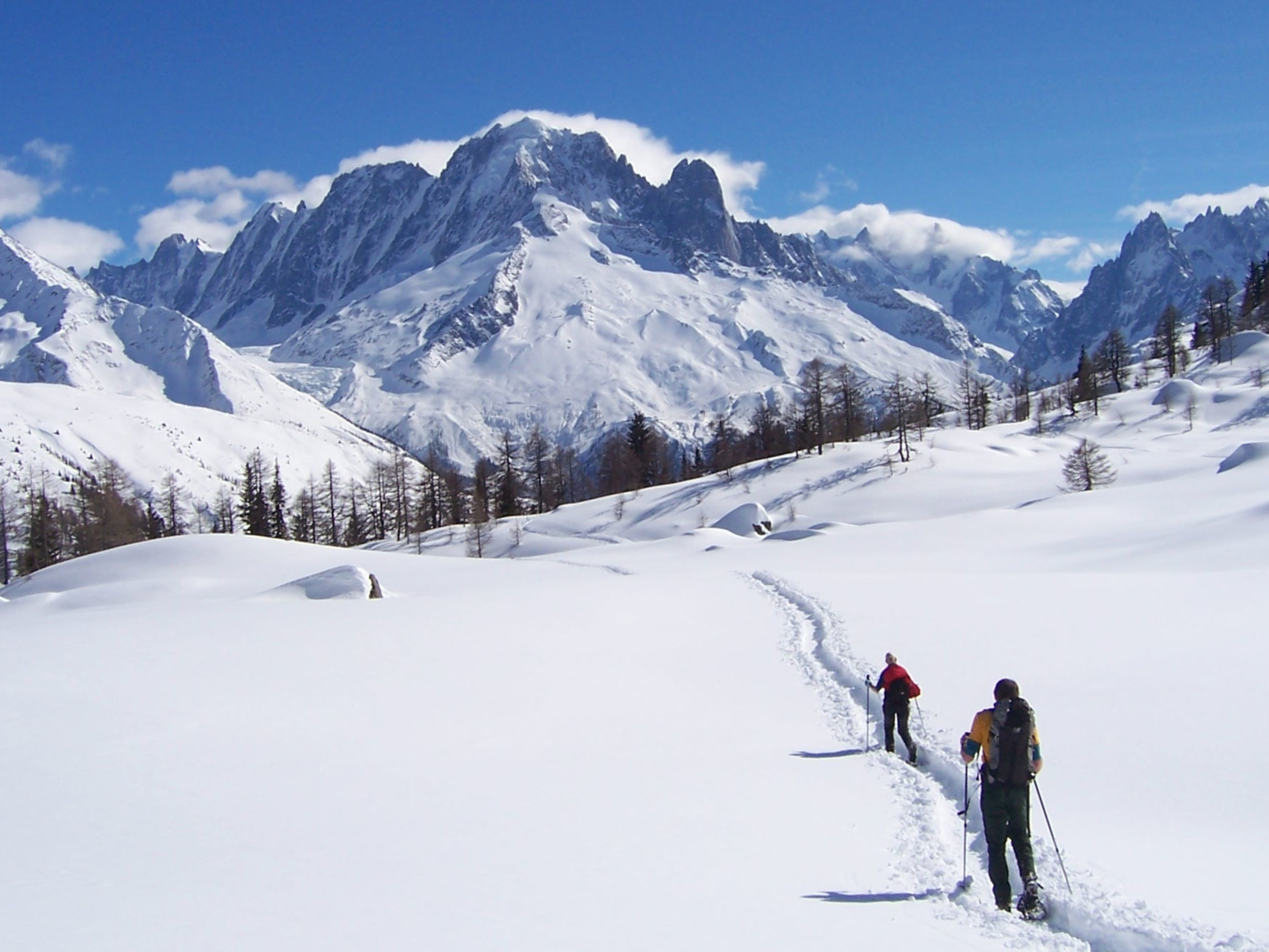 Picture of Winter in the Alps: Snowshoeing & Cross-Country Skiing