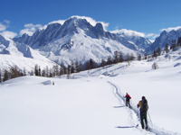 Picture of Winter in the Alps: Snowshoeing & Cross-Country Skiing