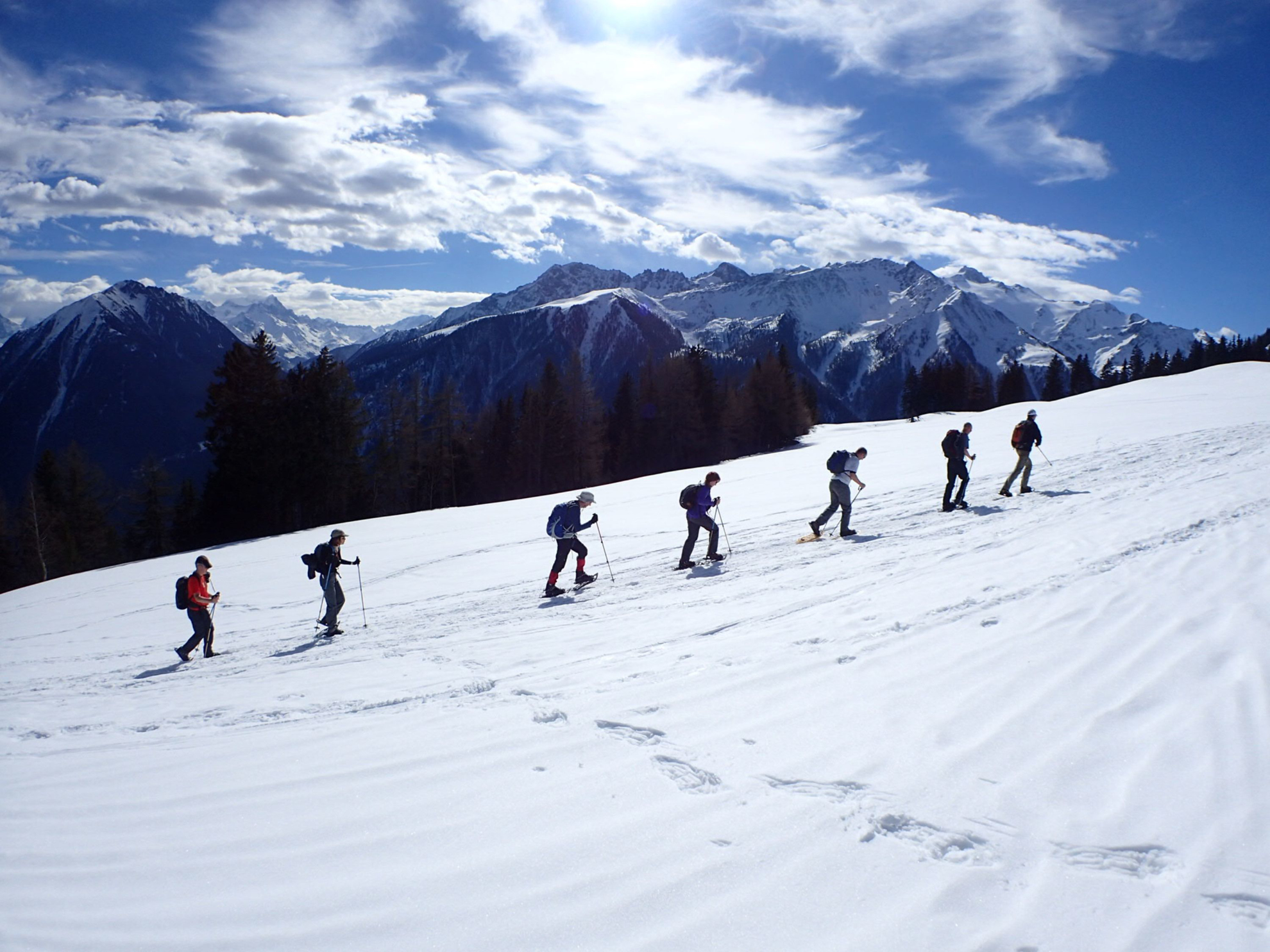 Picture of Winter in the Alps: Snowshoeing & Cross-Country Skiing