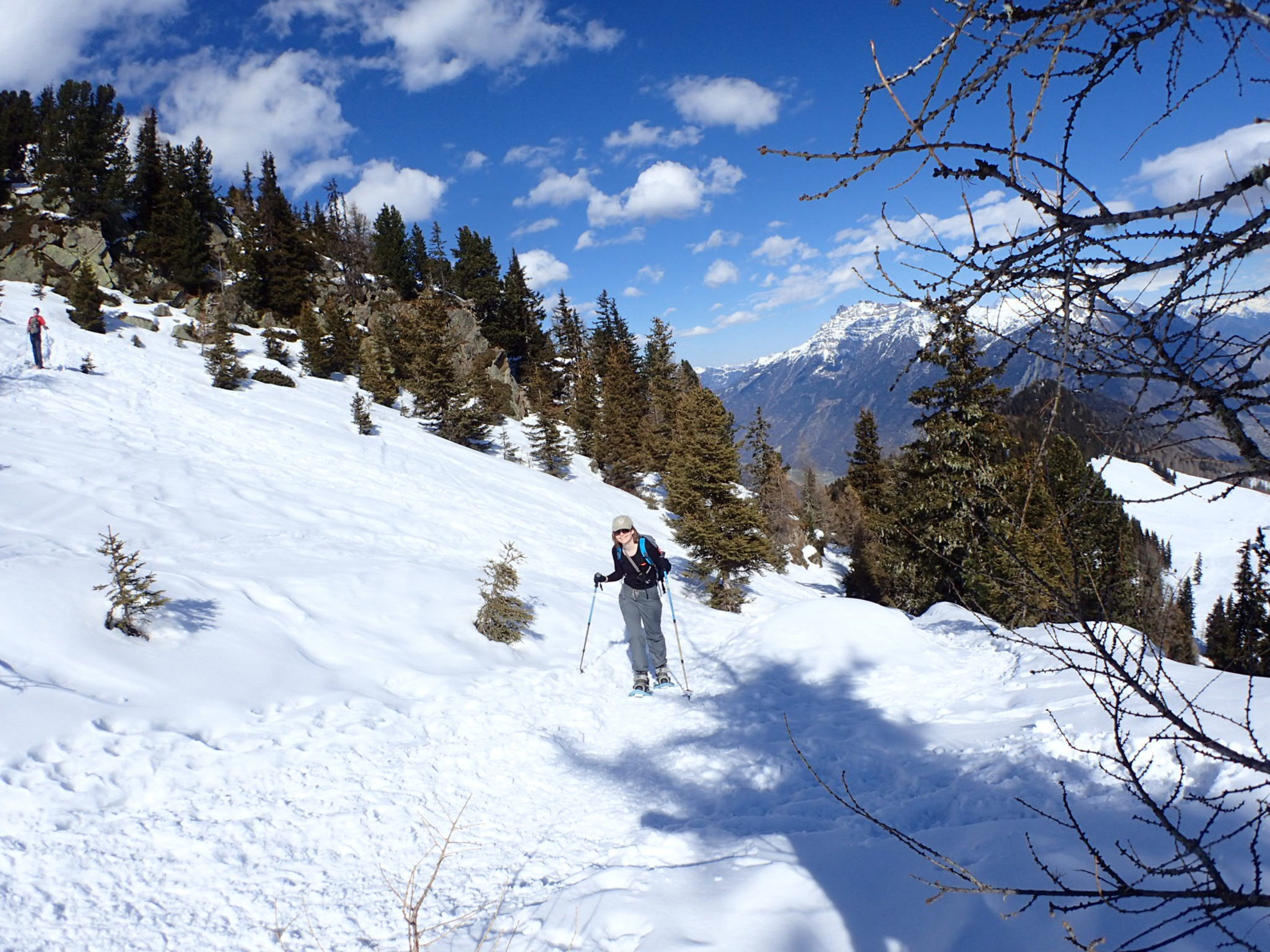 Picture of Winter in the Alps: Snowshoeing & Cross-Country Skiing