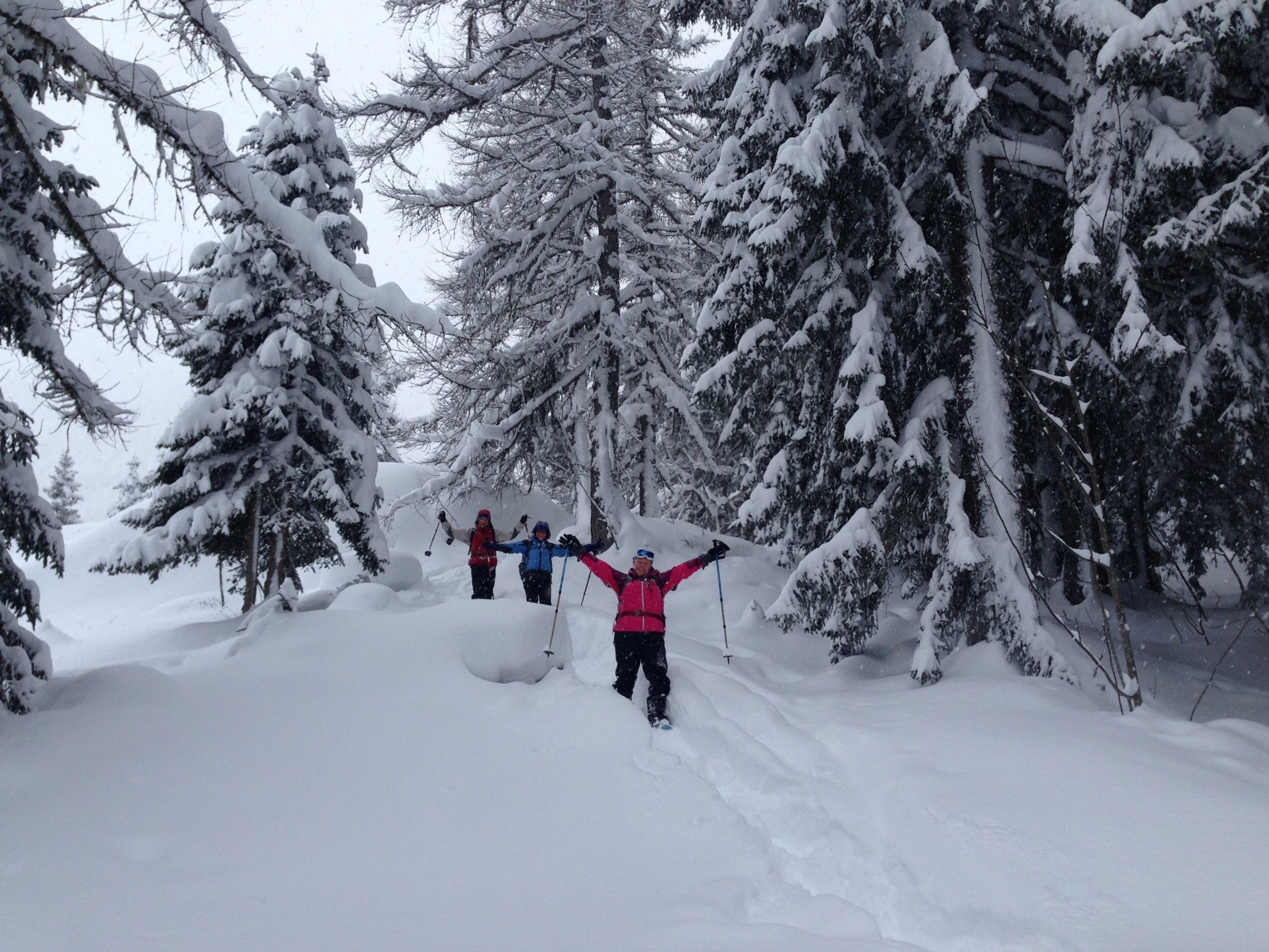 Picture of Winter in the Alps: Snowshoeing & Cross-Country Skiing