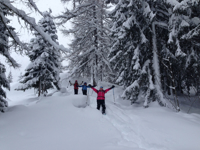 Picture of Winter in the Alps: Snowshoeing & Cross-Country Skiing