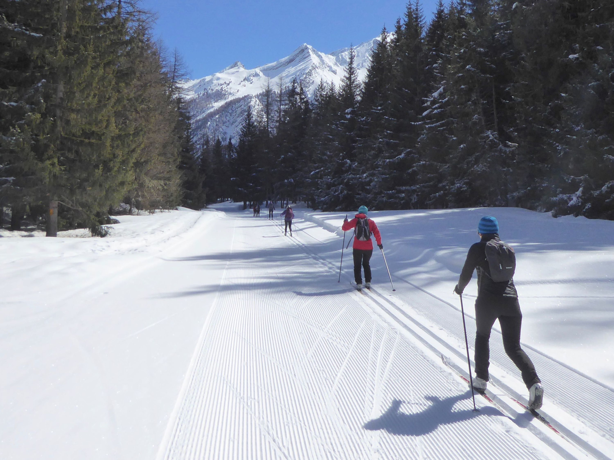 Picture of Winter in the Alps: Snowshoeing & Cross-Country Skiing