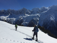 Picture of Winter in the Alps: Snowshoeing & Cross-Country Skiing