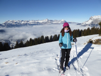 Picture of Winter in the Alps: Snowshoeing & Cross-Country Skiing
