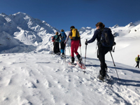 Picture of Winter in the Alps: Snowshoeing & Cross-Country Skiing