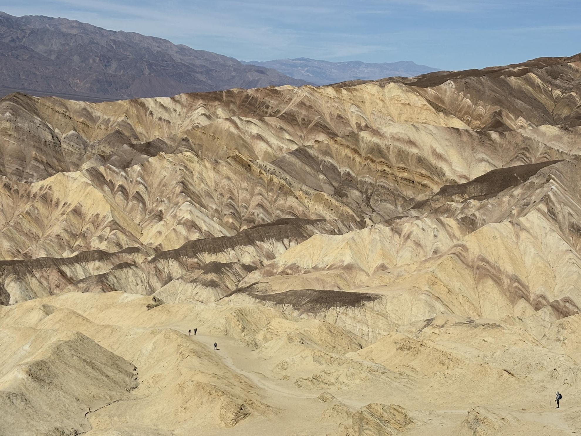 Picture of Desert Oasis Adventure: From Death Valley to Joshua Tree
