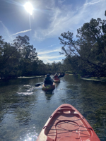 Picture of Paddling with Manatees