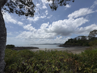Picture of Paradise in Panama Wellness Retreat