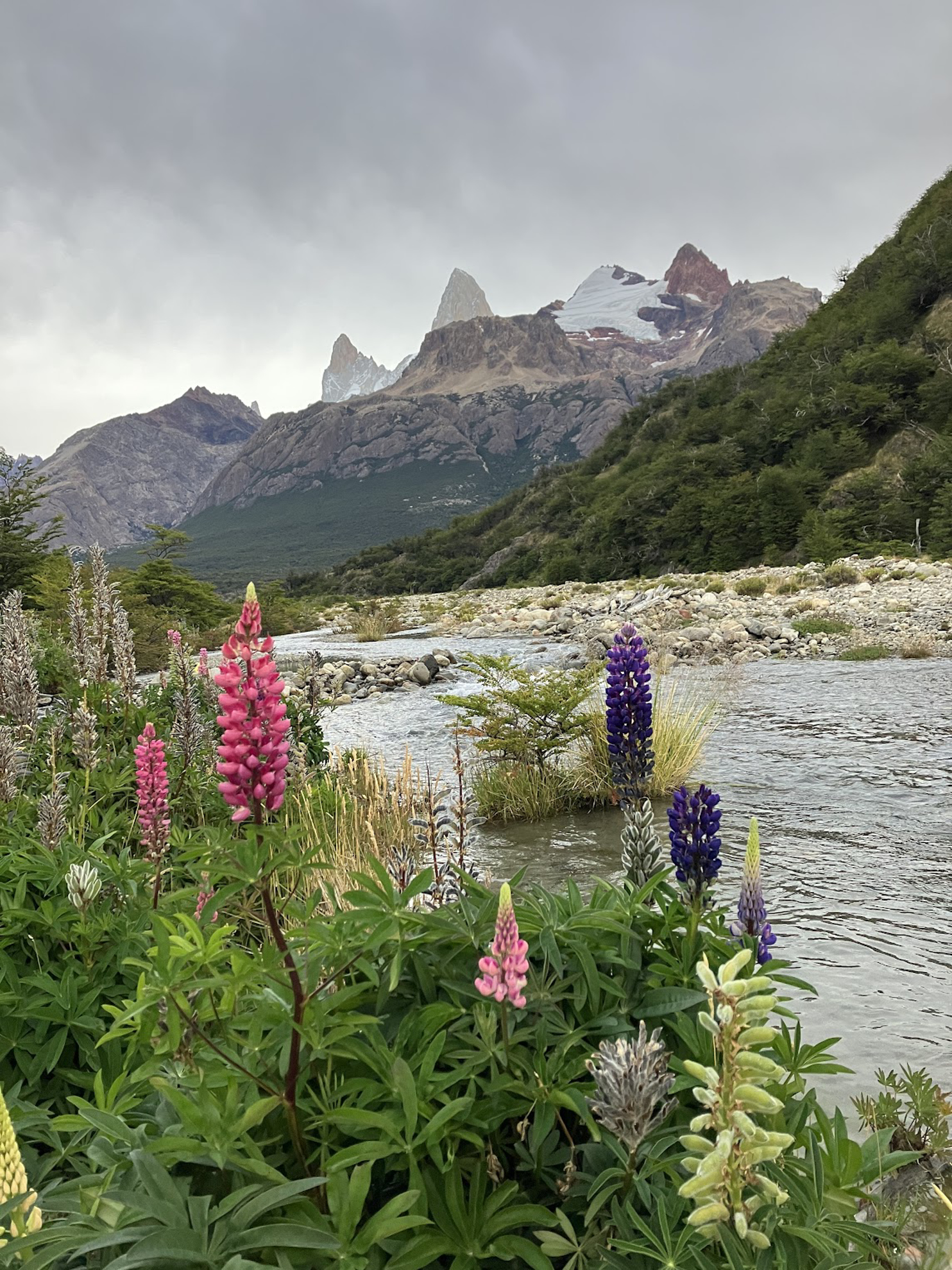 Picture of Echoes of the Andes: Argentina and Patagonia