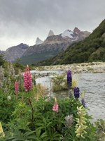 Picture of Echoes of the Andes: Argentina and Patagonia