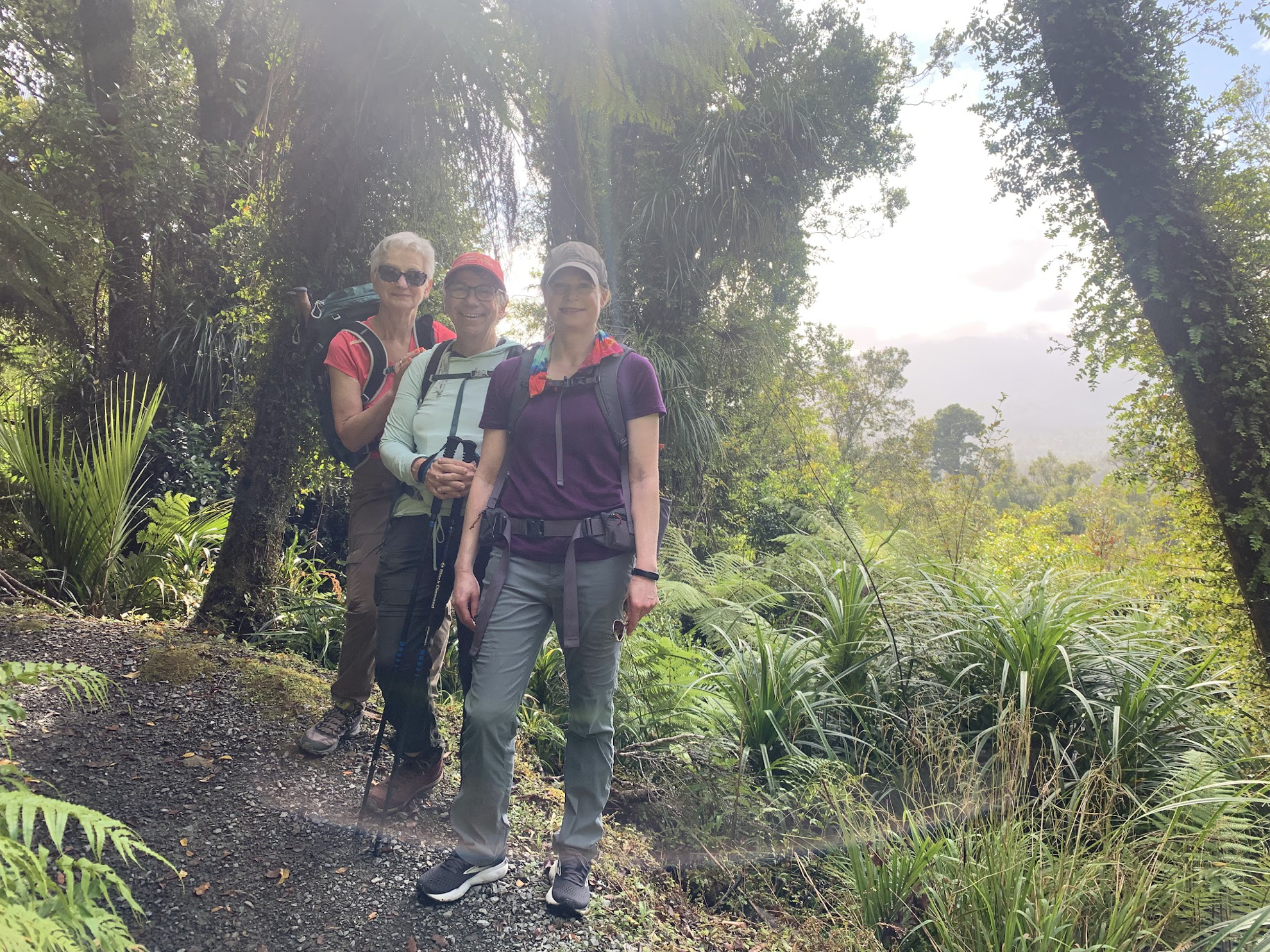 Picture of New Zealand's Wild Wonders: Southern Alps & National Parks